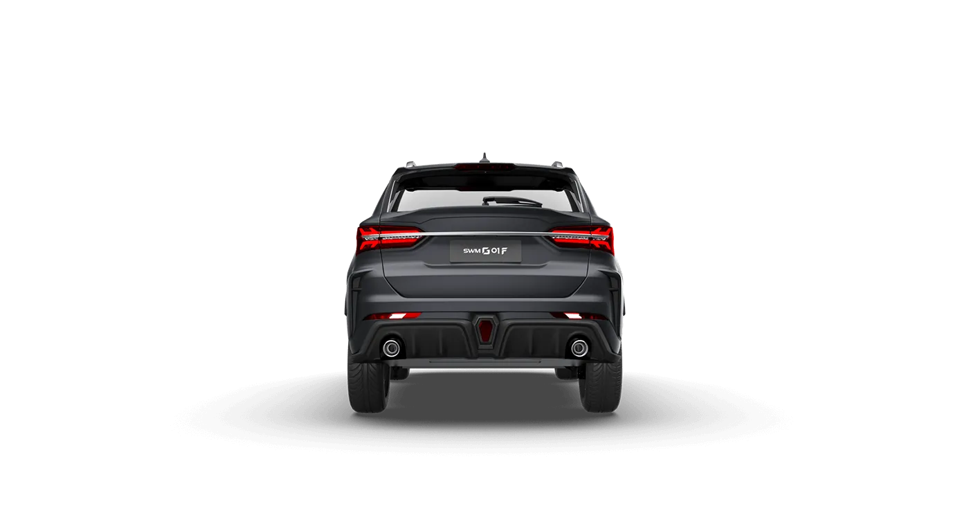 SWM G01 gray  Acate